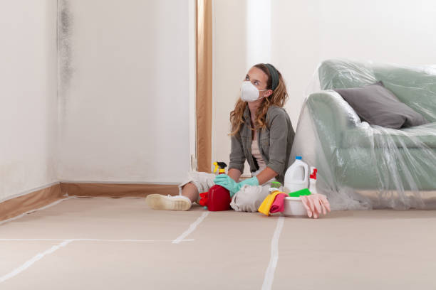 Reliable Crawl Space Mold Removal contractor in Wellsville, PA by WQB Mold Removal