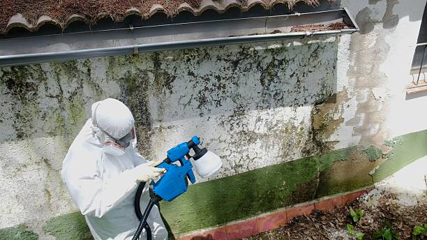 Top rated local Crawl Space Mold Removal specialists in Wellsville, PA